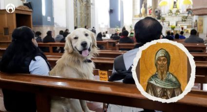 Perritos: ¿por qué San Antonio Abad es el santo de las animales? (FOTOS)