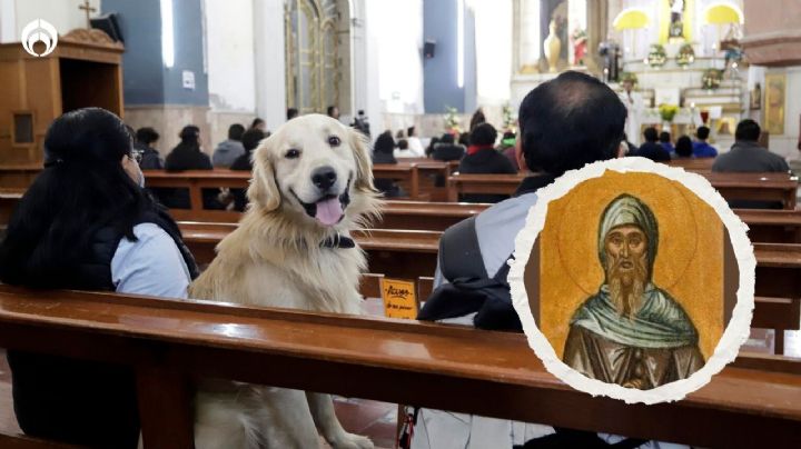 Perritos: ¿por qué San Antonio Abad es el santo de las animales? (FOTOS)