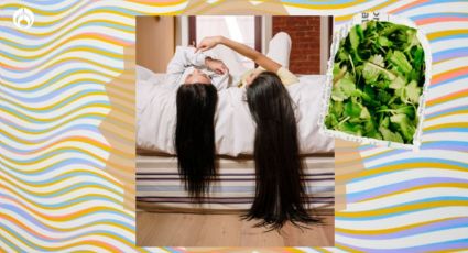 Cómo hacer que el pelo crezca más rápido con un shampoo natural de cilantro