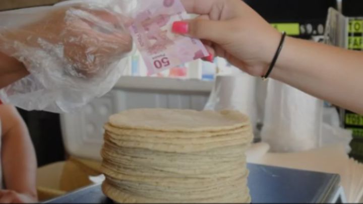 Impreciso que Sonora refleje el precio más caro de tortillas: Diego Avilés