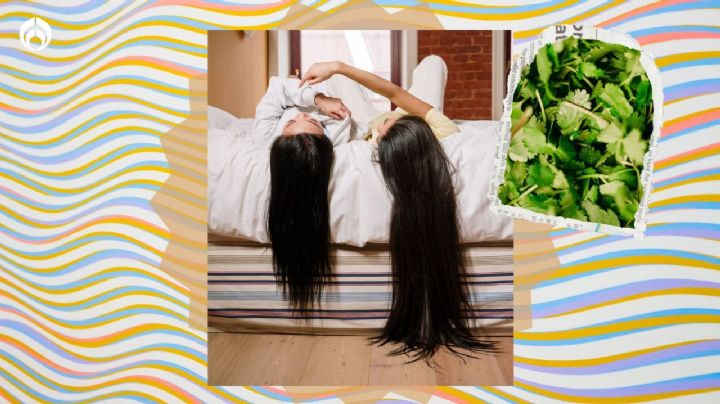 Cómo hacer que el pelo crezca más rápido con un shampoo natural de cilantro