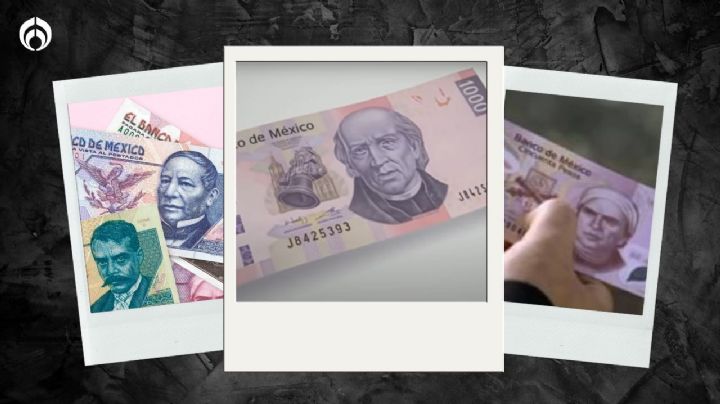 ¿Los tienes? Estos son todos los billetes que ‘desaparecerán’ en 2024