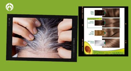 El tinte de Garnier que cubrirá tus canas por completo, es baratísimo y fácil de conseguir