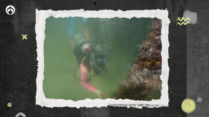 Tesoro cerca de México: este es el mar rico en minerales que quieren explotar