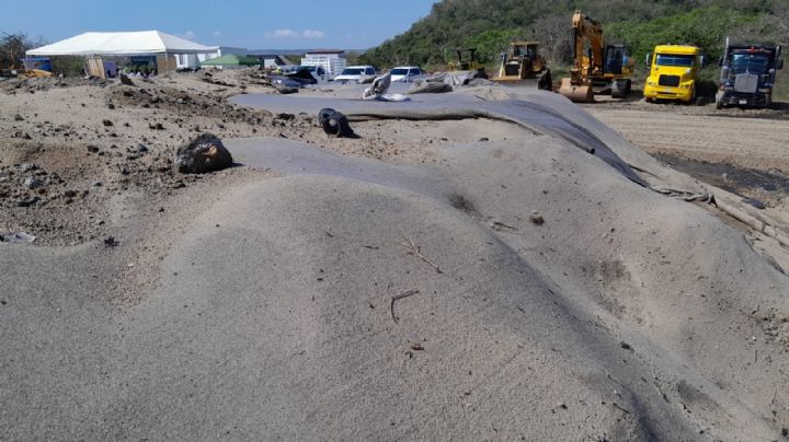 ¿Un basurero familiar? Arranca transformación de tiradero en Veracruz; contará con vista al mar