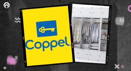 Coppel rebaja resistente clóset con 25 paneles para zapatos, ropa, bolsas y más