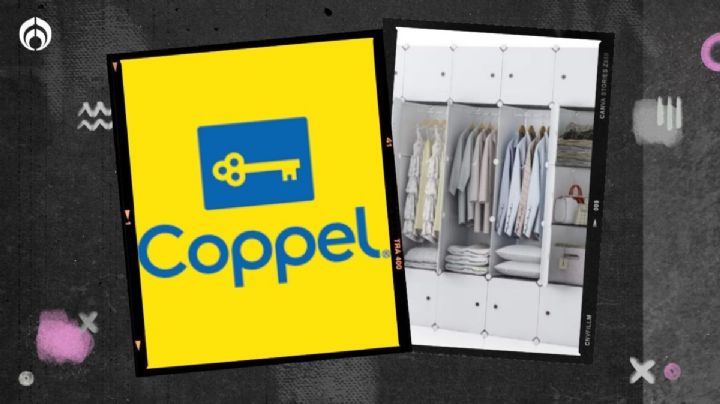 Coppel rebaja resistente clóset con 25 paneles para zapatos, ropa, bolsas y más