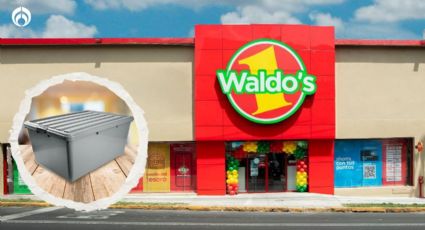 Waldo's vende regalada caja multiusos de plástico con tapa con capacidad de 68 litros