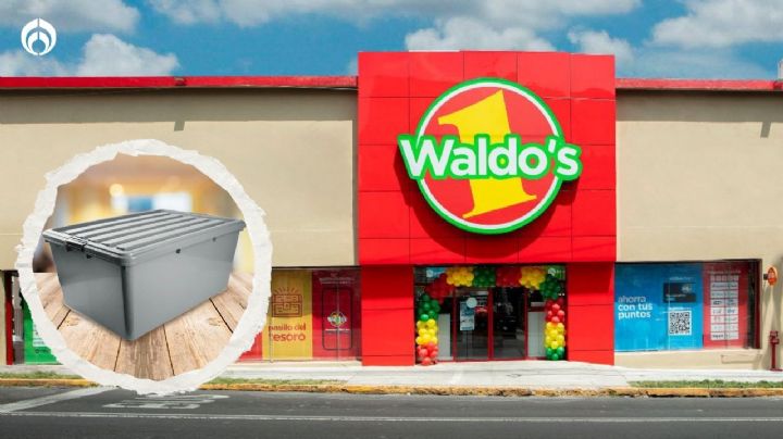 Waldo's vende regalada caja multiusos de plástico con tapa con capacidad de 68 litros