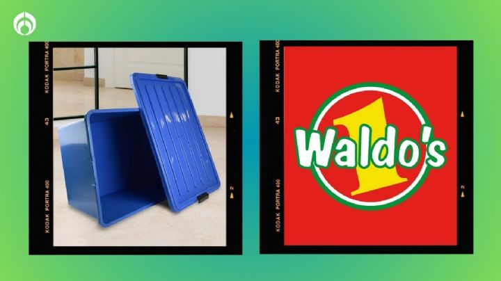 Waldo's vende "casi regalada" esta caja de plástico para que organices tu casa