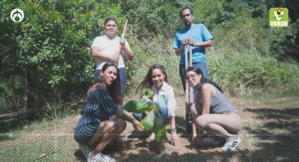 La ‘Educación Ambiental’ en México es un logro del Partido Verde: Karen Castrejón