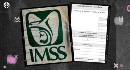 IMSS: ¿Cómo tramitar la constancia de mis semanas cotizadas?