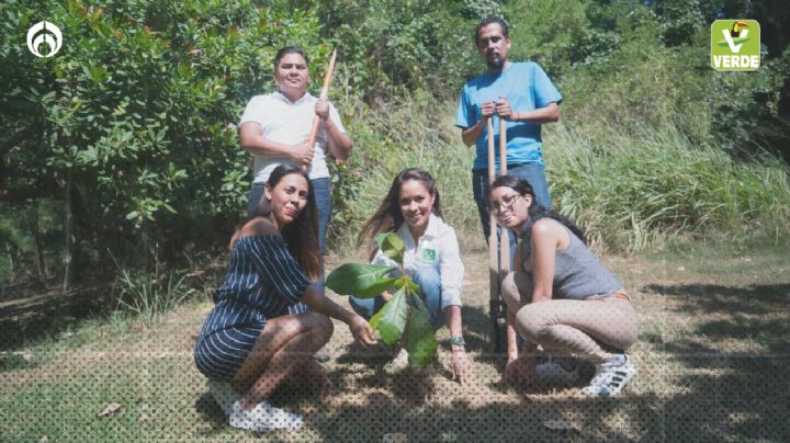 La ‘Educación Ambiental’ en México es un logro del Partido Verde: Karen Castrejón