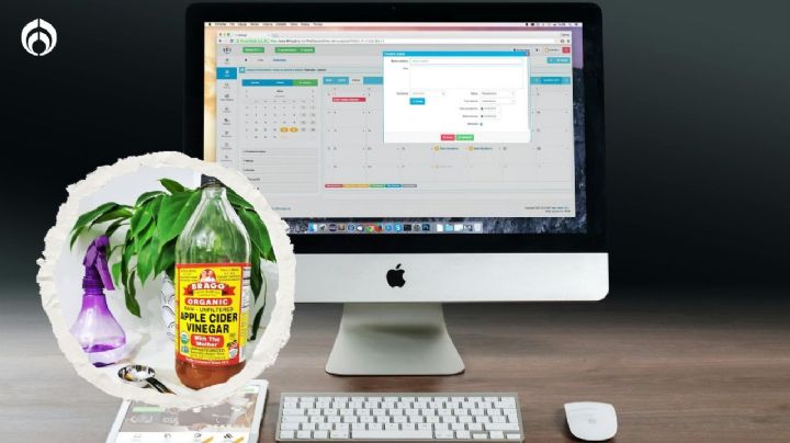 Cómo limpiar la pantalla de tu computadora con un ingrediente  de cocina casero seguro