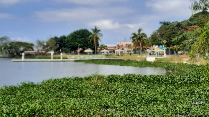 Sequía afecta a pesca deportiva: producción de 'lobina' escasea por bajos niveles de agua