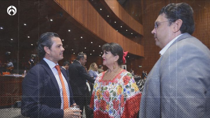 Busca PVEM garantizar acceso al INSABI a personas con discapacidad