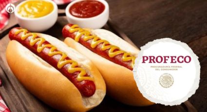 El hot dog perfecto y saludable: así lo puedes preparar con los mejores ingredientes, según Profeco