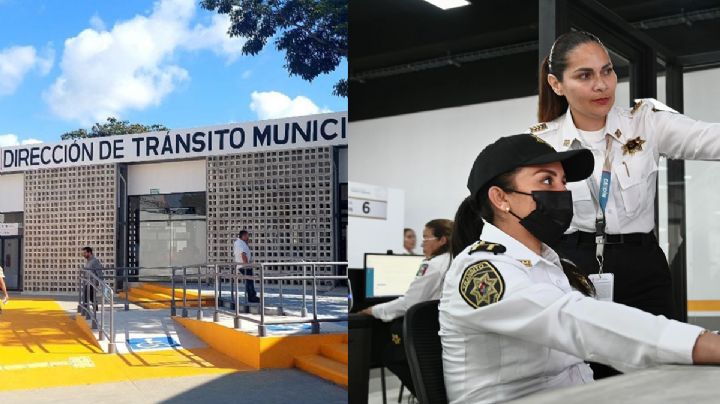 Falla en sistema retrasa emisión de licencias de conducir en Quintana Roo ¿Cuándo se reanudarán?