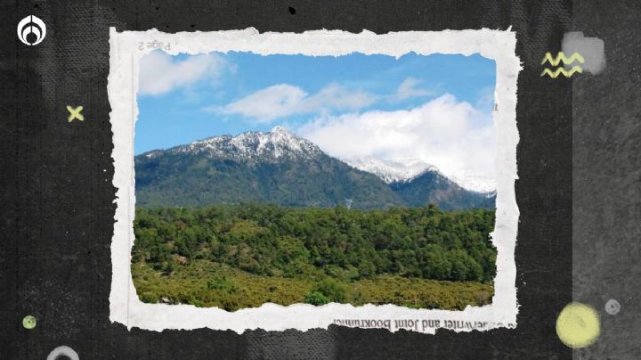 ‘Tancítaro’, el volcán olvidado de Michoacán que está ‘reviviendo’, según la UNAM