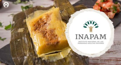 INAPAM 2024: el negocio de tamales con descuento para el Día de la Candelaria