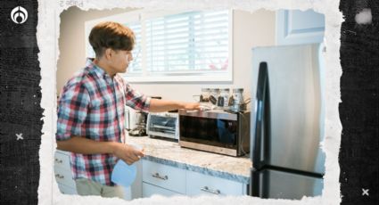 Estos son los hornos de microondas que más consumen energía, según Profeco