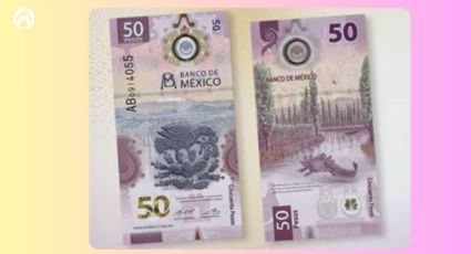 Billete de ajolote: ¿cómo saber si mi billete es falso?