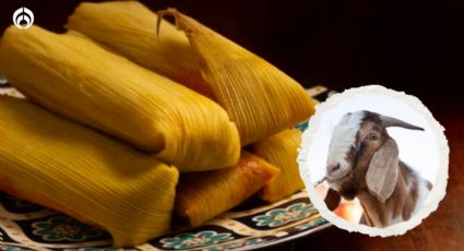 ¿Qué significa la expresión ‘me hizo de chivo los tamales’ y cuál es su origen?