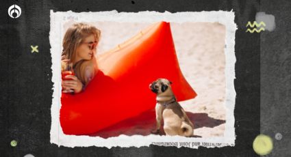 Megapuente 2024: 5 playas mexicanas pet-friendly para escaparte con tu ‘lomito’