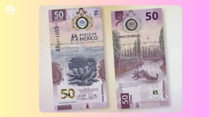 Billete de ajolote: ¿cómo saber si mi billete es falso?