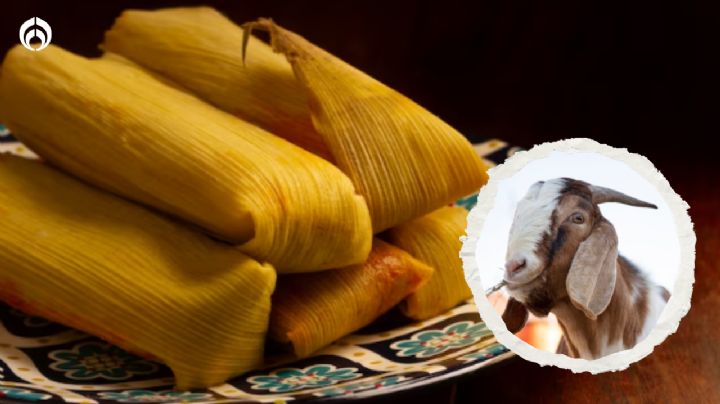 ¿Qué significa la expresión ‘me hizo de chivo los tamales’ y cuál es su origen?