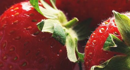 ¿Qué esconden los puntos o ‘pepitas’ de las fresas? TODO lo que debes saber antes de comerlas