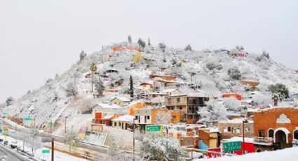 Amanece Sonora bajo la nieve; prevén nuevo frente frío para esta semana