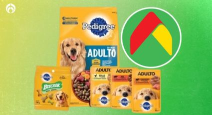 Bodega Aurrera remata combo Pedigree Adulto de 4kg ¡más 3 bolsas de 100g y premios biscrok!