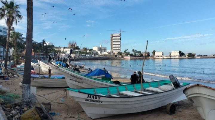 Viven pescadores de Mazatlán la peor temporada de pesca en la última década