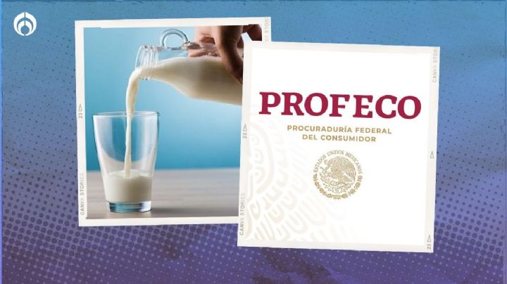 El producto lácteo similar a la leche que cuesta sólo 10 pesos y pasó las pruebas de Profeco