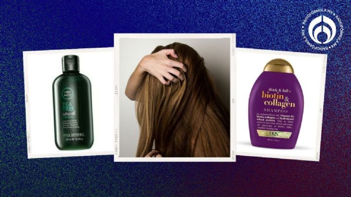 Estos son los shampoos que SÍ harán que crezca tu cabello, según expertos