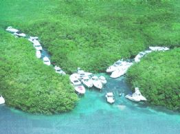 (FOTOS) Manglares de Yucatán, guardianes de la biodiversidad y protectores de desastres naturales