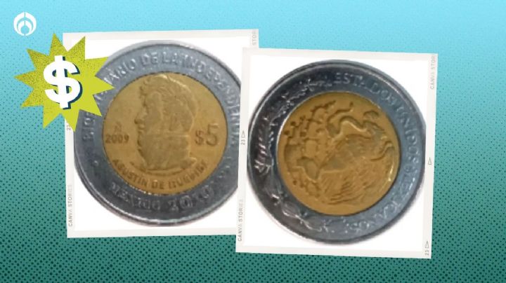 Características de la moneda de 5 por la que te pagan más de medio millón de pesos