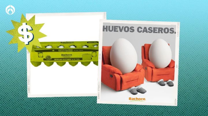 Chedraui tiene baratísimo el paquete de 12 huevos Bachoco, son más frescos que los San Juan