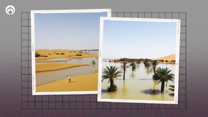 (FOTOS) Desierto del Sahara se inundó por primera vez en medio siglo: Así se ve