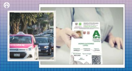 Licencia de conducir permanente en CDMX: Las 7 acciones por las que puedes perderla