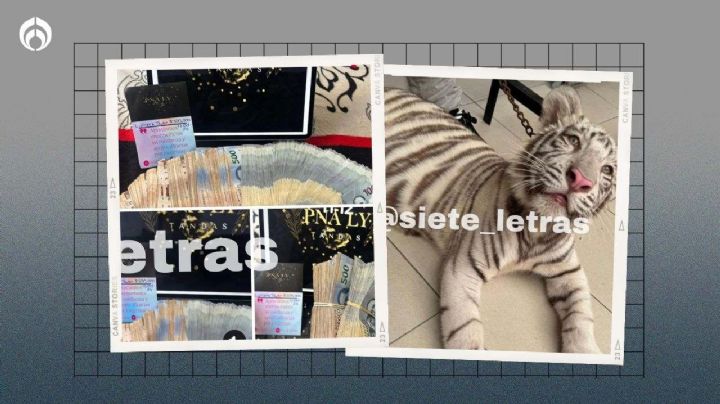 Joven vende tigres blancos y animales en peligro de extinción ¡en Facebook! (FOTOS)