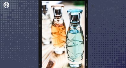 El perfume de flores dulces más seductor que enamora a la primera y dónde comprarlo más barato