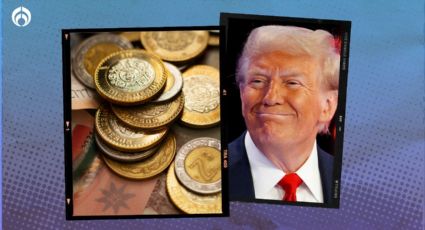 El peso 'da la vuelta' al temor por Trump: cierra en 19.88 por dólar