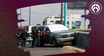 Cuauhtémoc bajo el ojo del crimen: Alcaldesa Alessandra Rojo pide intervención urgente ante violencia