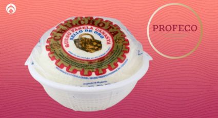 ¿Qué tan bueno es el queso panela Chilchota? Profeco analiza este producto