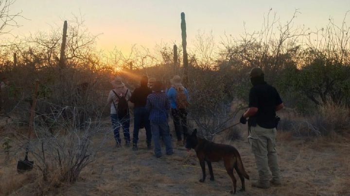 Suman 8 fosas localizadas en La Paz; podría tratarse de un cementerio clandestino, dice buscador