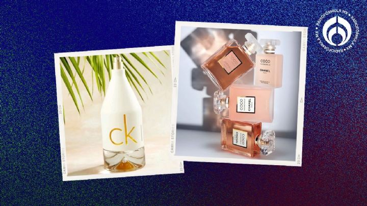 Los 5 perfumes más conquistadores del mundo para comprar a ciegas, según experto