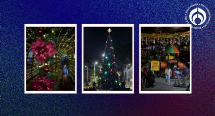 Con 'villancicos' y adornos: así celebraron la Navidad adelantada en Venezuela (VIDEOS)