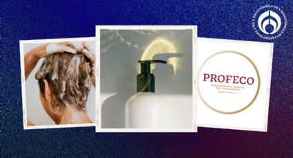 La receta 'secreta' de Profeco para preparar tu propio shampoo de miel